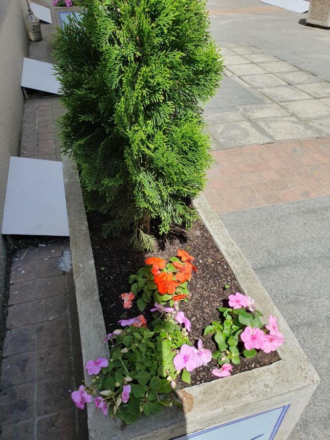 Apartment Resavska Belgrád Kültér fotó